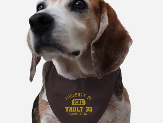 Property Of Vault 33