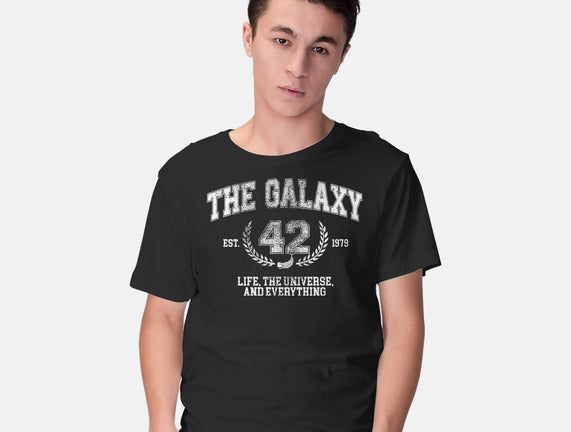 The Galaxy