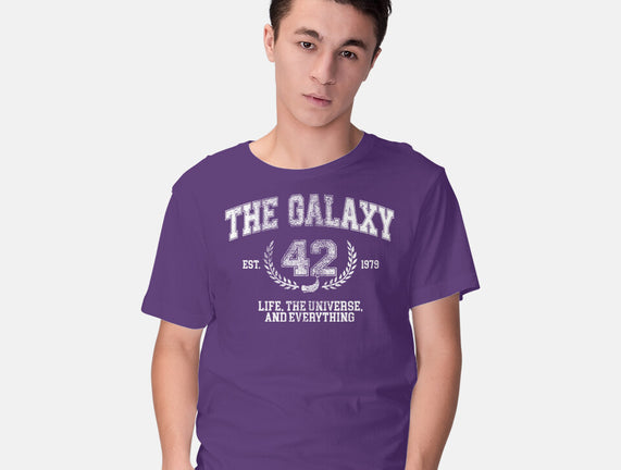 The Galaxy