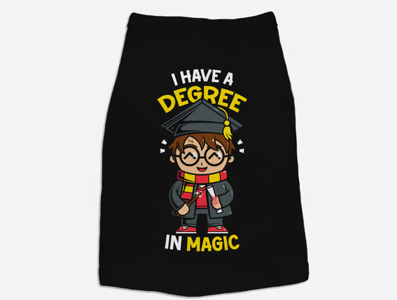 Degree In Magic