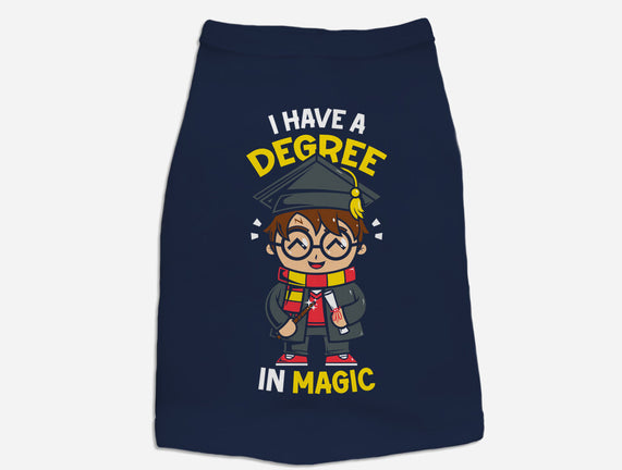 Degree In Magic