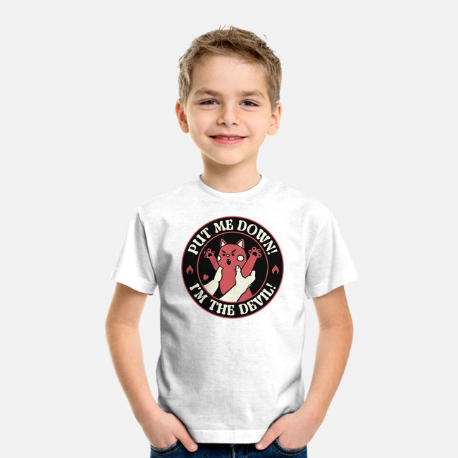 Put Me Down-Youth-Basic-Tee-tobefonseca