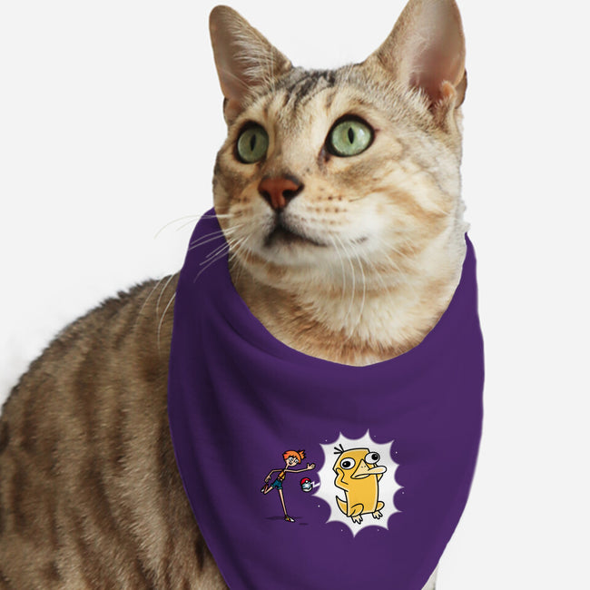 Psyplatypus-Cat-Bandana-Pet Collar-Raffiti