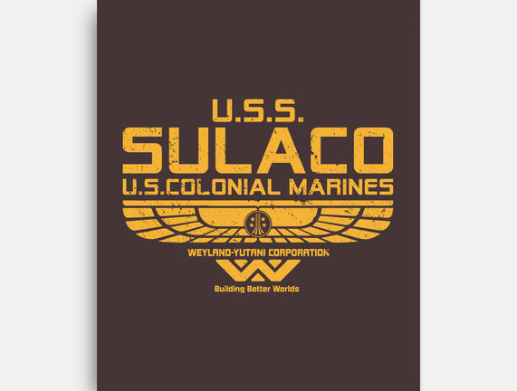 USS Sulaco