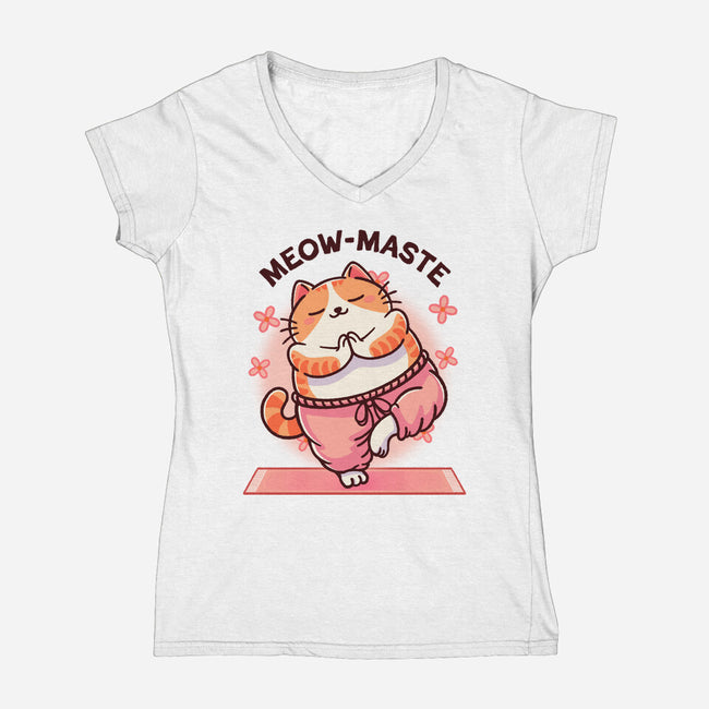 Meow-maste-Womens-V-Neck-Tee-fanfreak1