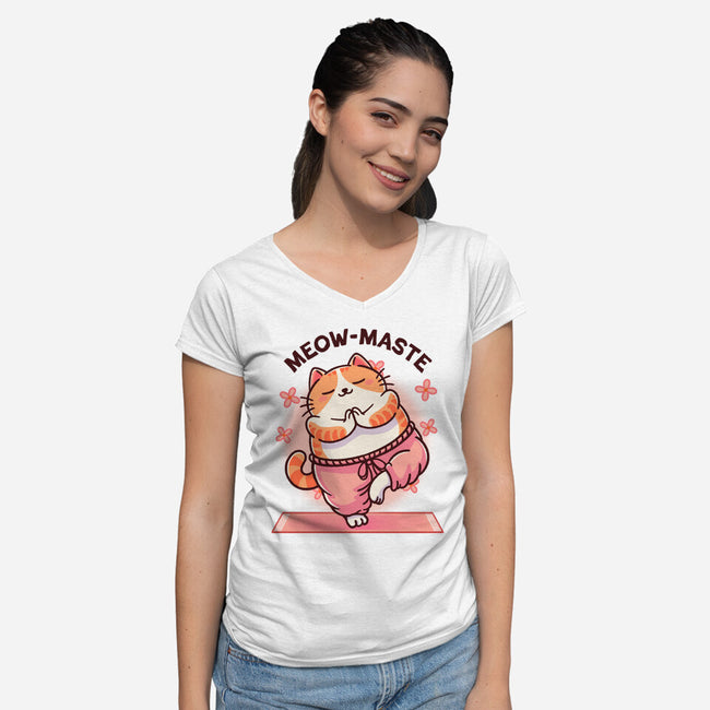 Meow-maste-Womens-V-Neck-Tee-fanfreak1