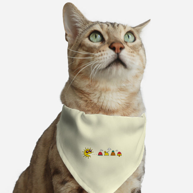 Pac-Summer-Cat-Adjustable-Pet Collar-krisren28