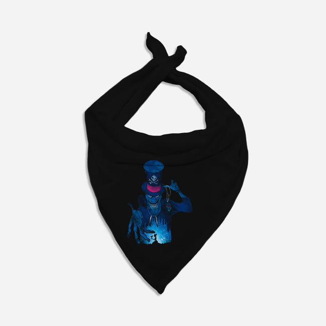 Witch Doctor-Cat-Bandana-Pet Collar-dalethesk8er