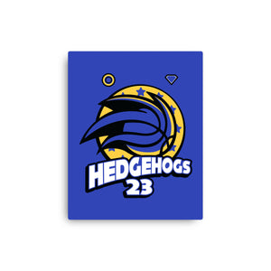 Hedgehogs Jersey