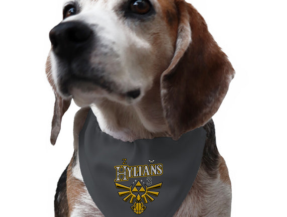 Hylians Jersey