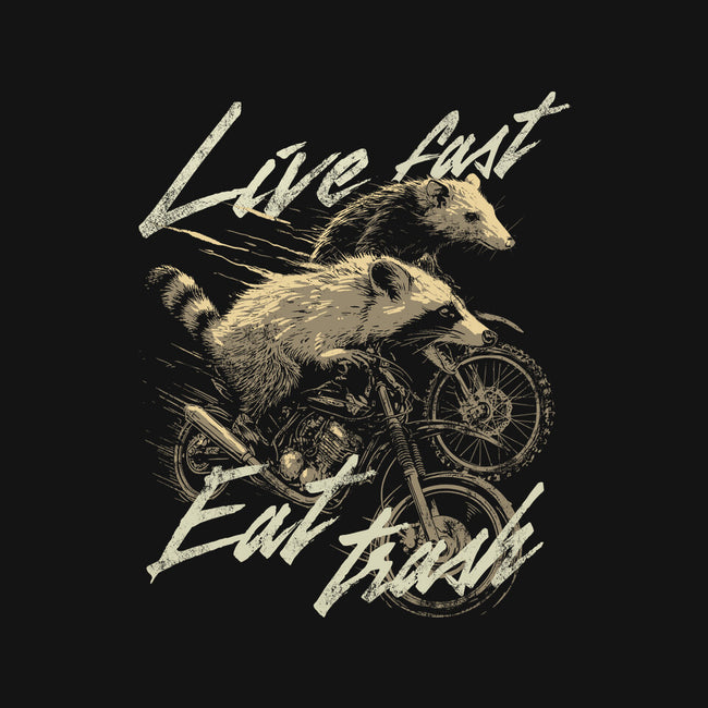 Raccoon Live Fast Eat Trash-Womens-Fitted-Tee-GoshWow