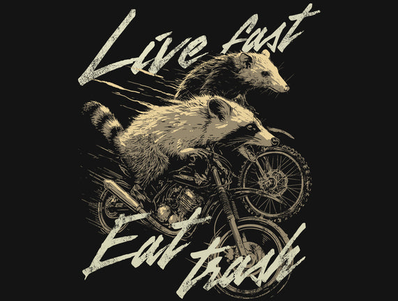 Raccoon Live Fast Eat Trash