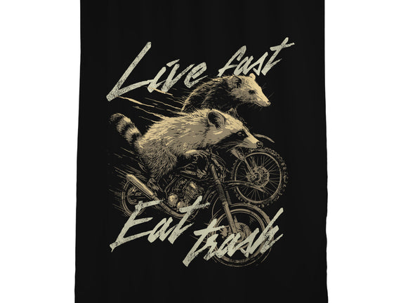 Raccoon Live Fast Eat Trash