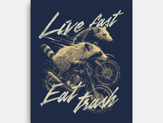 Raccoon Live Fast Eat Trash