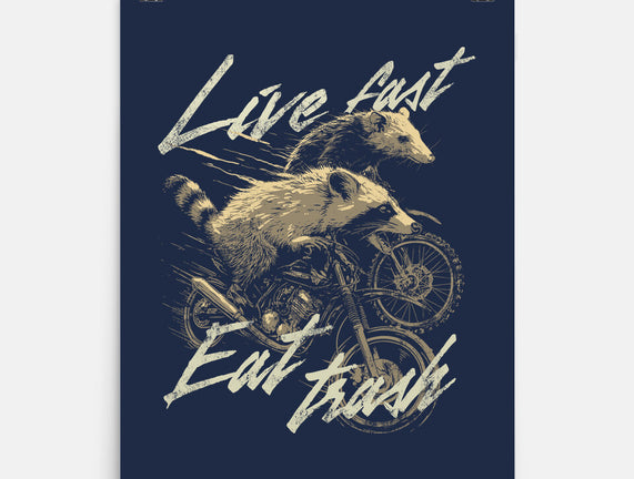 Raccoon Live Fast Eat Trash