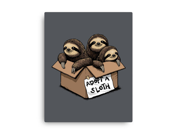 Adopt A Sloth