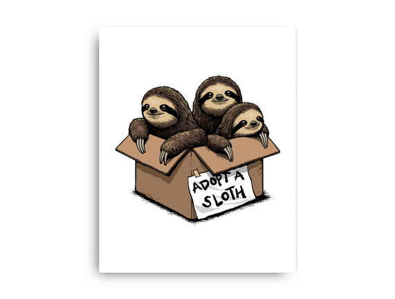 Adopt A Sloth