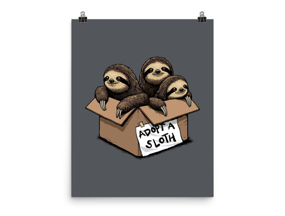 Adopt A Sloth