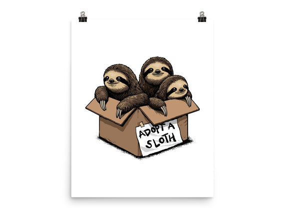 Adopt A Sloth