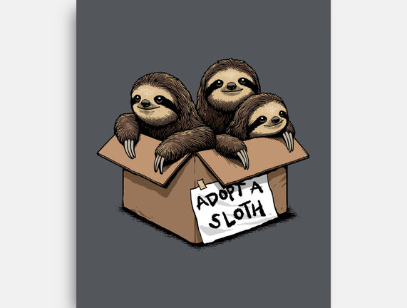 Adopt A Sloth