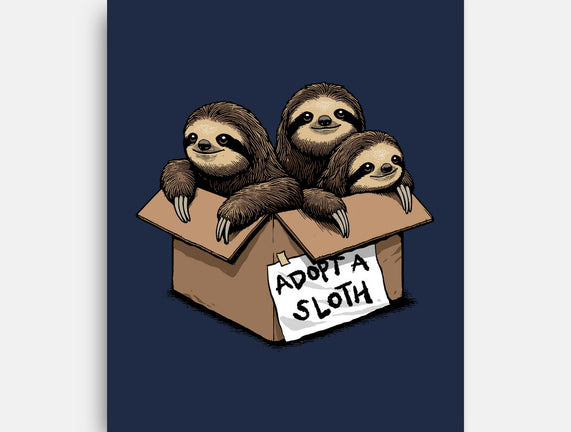 Adopt A Sloth