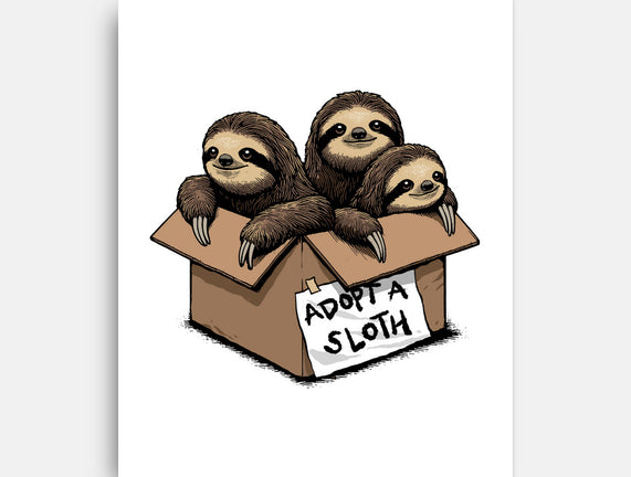 Adopt A Sloth