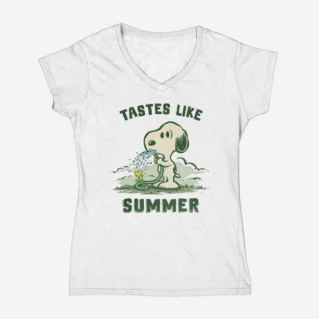 Tastes Like Summer-Womens-V-Neck-Tee-kg07