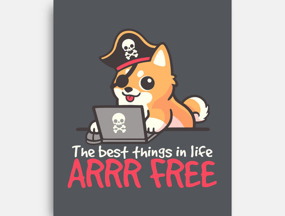 Web Pirate Dog