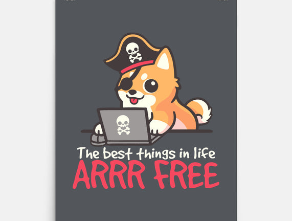 Web Pirate Dog