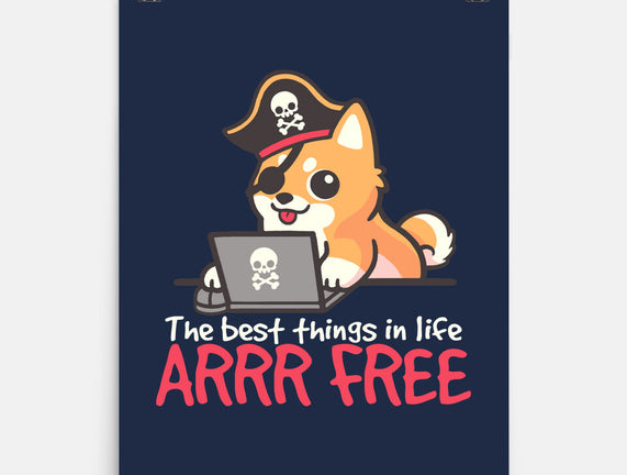 Web Pirate Dog