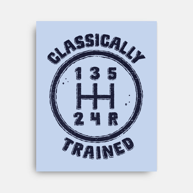 Classically Trained Driver-None-Stretched-Canvas-kg07