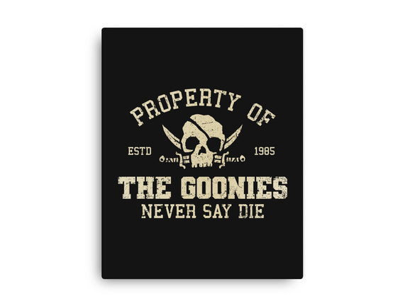 Property Of The Goonies