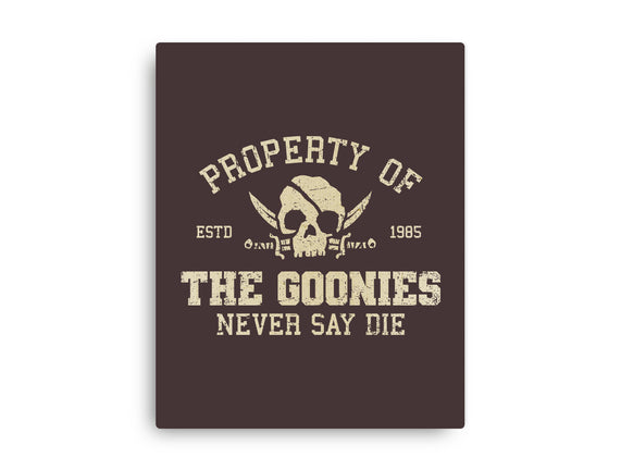 Property Of The Goonies