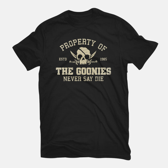 Property Of The Goonies-Womens-Fitted-Tee-kg07