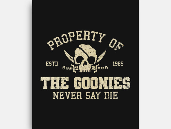 Property Of The Goonies