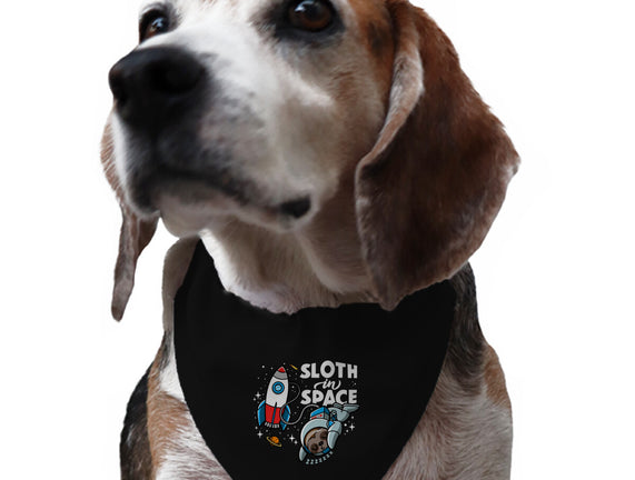 Sloth In Space