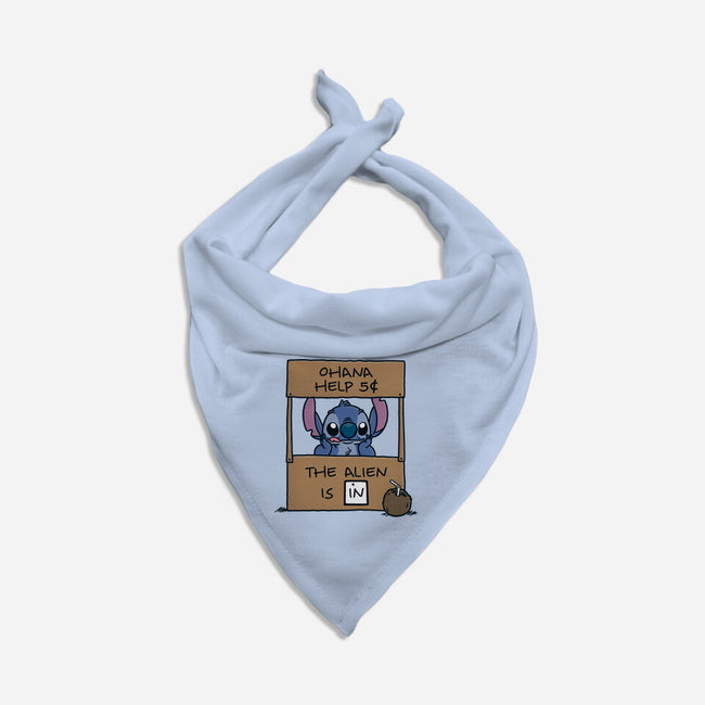 Ohana Help-Cat-Bandana-Pet Collar-Barbadifuoco