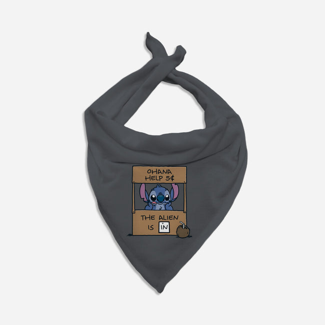 Ohana Help-Dog-Bandana-Pet Collar-Barbadifuoco