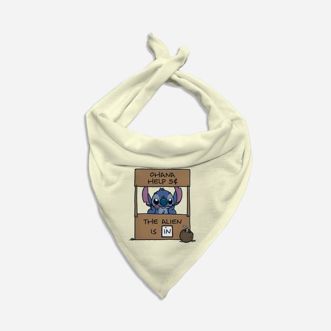 Ohana Help-Dog-Bandana-Pet Collar-Barbadifuoco