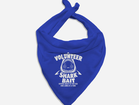 Volunteer Shark Bait