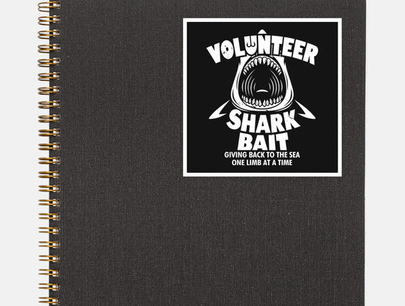 Volunteer Shark Bait