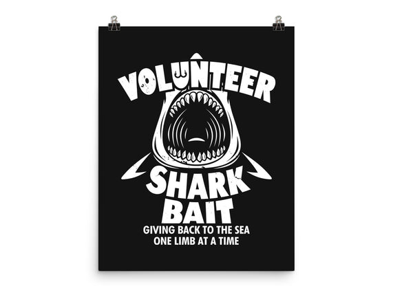 Volunteer Shark Bait