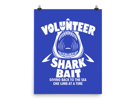 Volunteer Shark Bait