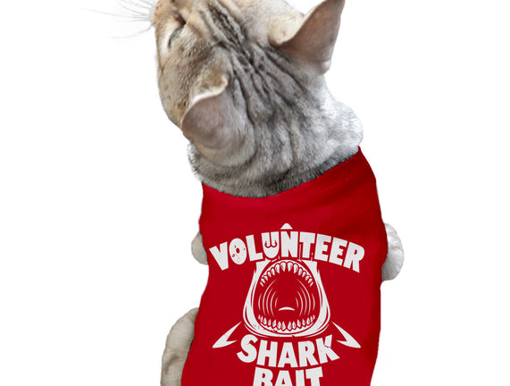 Volunteer Shark Bait