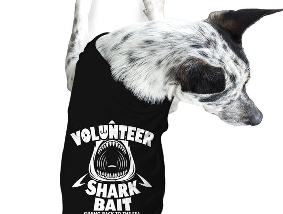 Volunteer Shark Bait