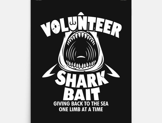 Volunteer Shark Bait