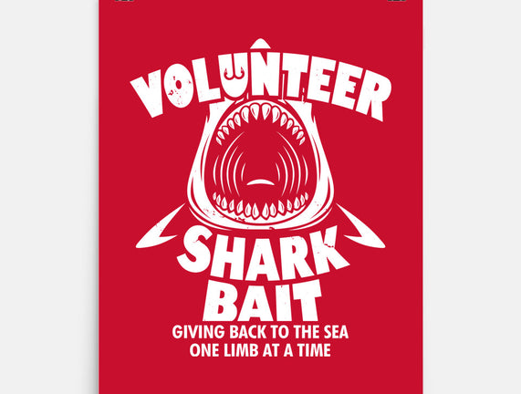 Volunteer Shark Bait