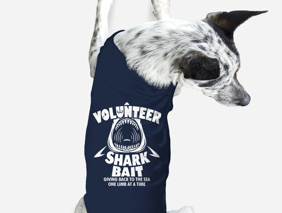 Volunteer Shark Bait