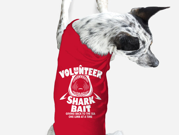 Volunteer Shark Bait