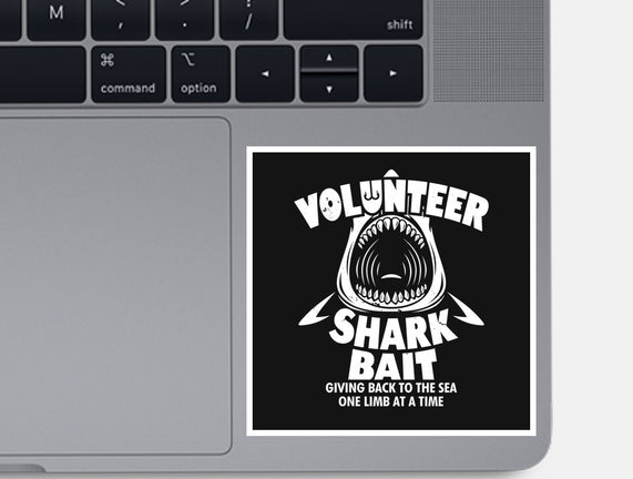 Volunteer Shark Bait